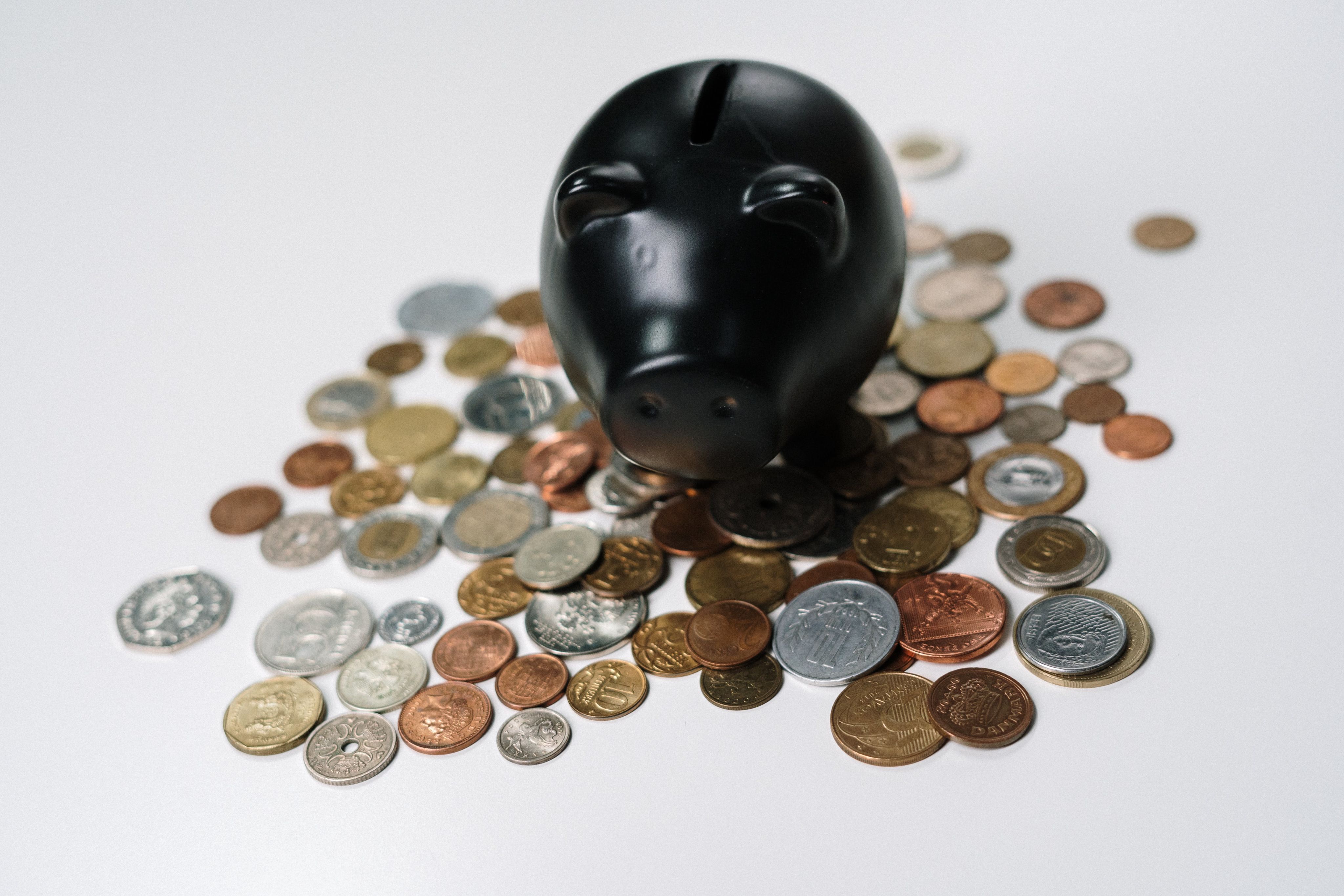 pink and black ceramic piggy bank